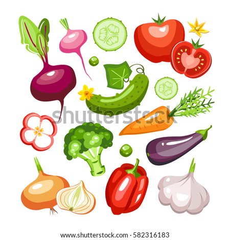 fresh vegetables collection beet radish cucumber tomato salad broccoli carrot eggplant garlic pepper onion zucchini paprika peas