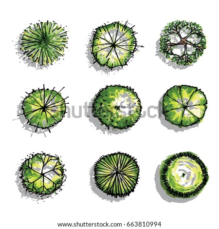 Hand Drawn Trees Top View Easy Stock Vector 222794302 - Shutterstock