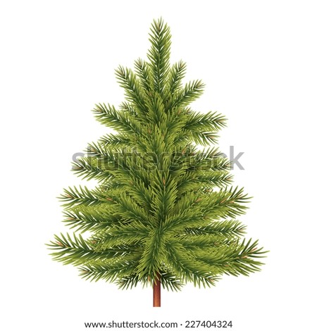 Fir-tree Stock Images, Royalty-Free Images & Vectors | Shutterstock