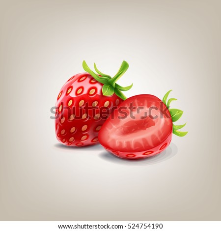 strawberry vector