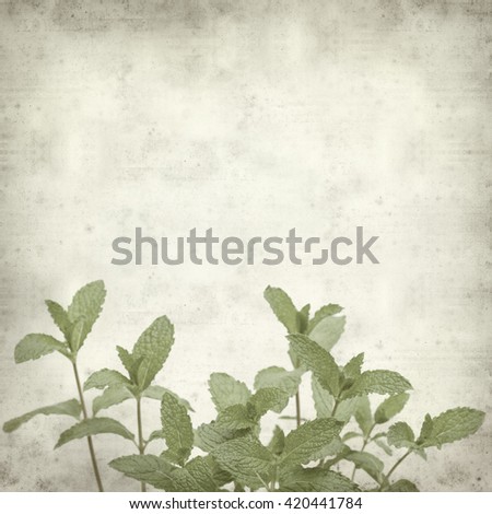 background of gardenia essay Background of gardenia in 1969, an american named horatio sye slocumm was sent by international executive service corporation (iesc) to. background of gardenia essay Background of gardenia in 1969, an american named horatio sye slocumm was sent by international executive service corporation (iesc) to.