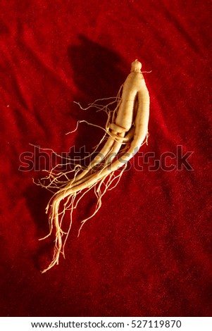 Chinese medicinal herbs, ginseng