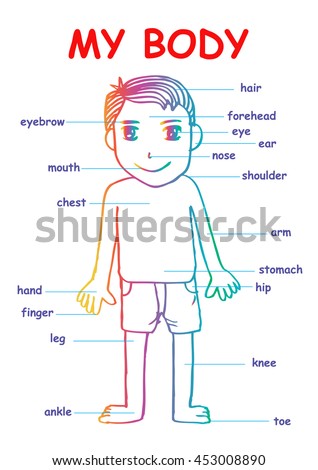 Cartoon Body Parts Stock Photos, Royalty-Free Images & Vectors ...