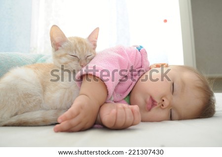 Baby Cat Sleeping Together Cute Babies Stock Photo ...