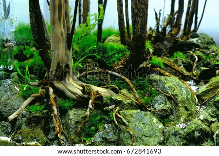 Aquascape Stock Images, Royalty-Free Images & Vectors ...