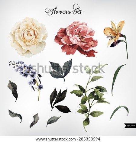 Flowers and leaves, watercolor, can be used as greeting card, invitation card for wedding, birthday and other holiday and summer background. Vector illustration.