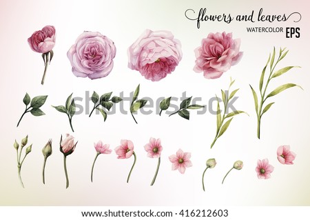 Flowers and leaves, watercolor, can be used as greeting card, invitation card for wedding, birthday and other holiday and summer background. Vector illustration.