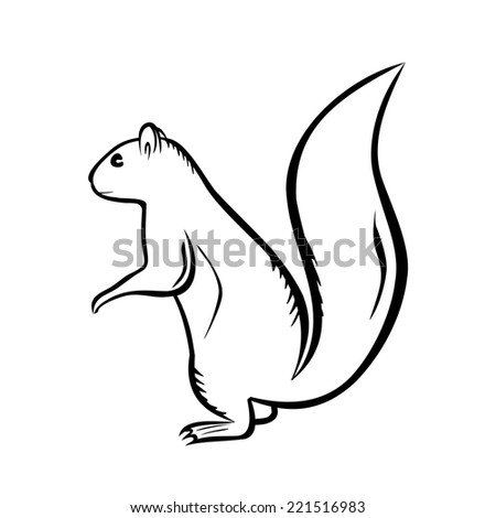 Squirrel Sketch Stock Images, Royalty-Free Images & Vectors | Shutterstock