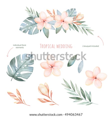 Tropical Wedding floral set.Beautiful soft floral collection with leaves and flowers(tropical leaves,plumeria).Watercolor individual elements+1 pastel colored bouquet.Perfect for wedding,invitations.