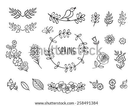 The set of hand drawn decorative elements for your design. Leaves, floral elements. Elements for Valentine's Day, mother's day, birthday, wedding, easter. Doodles, sketch. Vector illustration.