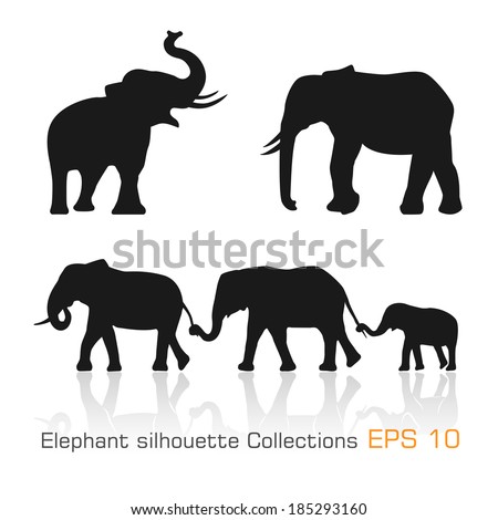 Set of silhouette elephants in different poses - Vector illustration