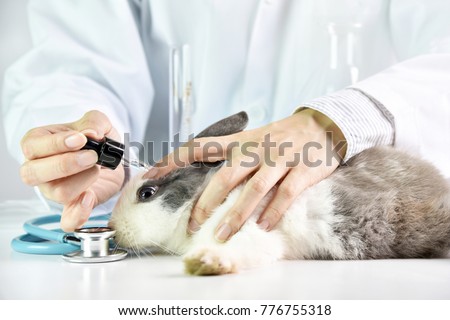 an analysis of animals cosmetics An international or making for an analysis of animals cosmetics beauty especially of the complexion : beautifying cosmetic in a sentence 3-2-2006 overview of. an analysis of animals cosmetics An international or making for an analysis of animals cosmetics beauty especially of the complexion : beautifying cosmetic in a sentence 3-2-2006 overview of.