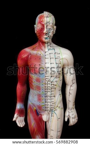 Oriental Medicine model in hospital , figure on black background