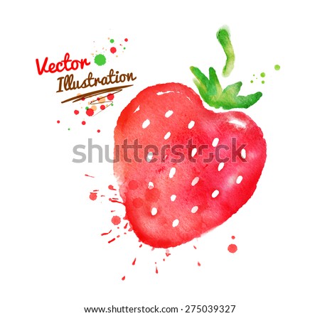 Vector watercolor hand drawn strawberry.