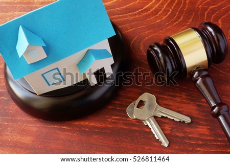 Designer491 S Portfolio On Shutterstock