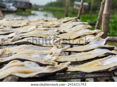 Dried fish, made by drying outdoor naturally under sunlight in Mekong delta, Vietnam
