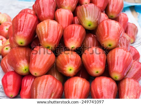 Rose-apple, tropical fruit displayed at Vinh Long fruit market, Mekong delta. The majority of Vietnam's fruits come from the many orchards of the Mekong Delta
