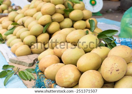 Sapodilla, tropical fruit displayed at Vinh Long fruit market, Mekong delta. The majority of Vietnam's fruits come from the many orchards of the Mekong Delta