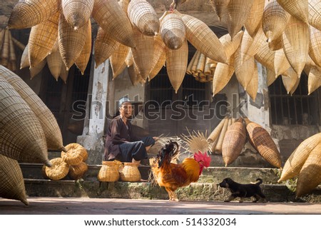 Hung Yen, Vietnam - July 9, 2016: Old house yard with many bamboo fish trap, a cock, and female craftsman making traditional bamboo fish trap at her old house in Thu Sy trade village