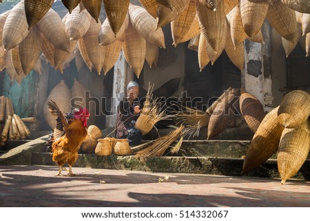 Hung Yen, Vietnam - July 9, 2016: Old house yard with many bamboo fish trap, a cock, and female craftsman making traditional bamboo fish trap at her old house in Thu Sy trade village
