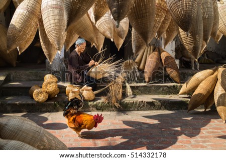 Hung Yen, Vietnam - July 9, 2016: Old house yard with many bamboo fish trap, a cock, and female craftsman making traditional bamboo fish trap at her old house in Thu Sy trade village