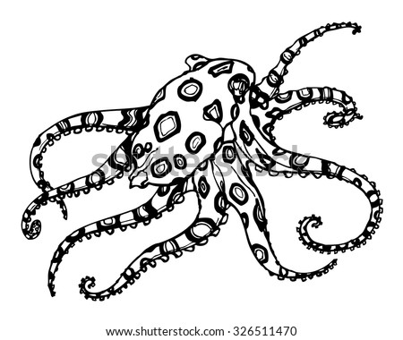 Vector hand drawn blue-ringed octopus. Ink drawing isolated on white ...