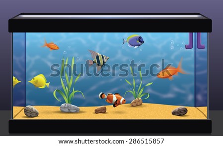 Aquarium