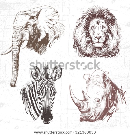 Animals around the World (Africa). Collection of hand drawn illustrations (originals, no tracing). Description: Each drawing comprise of one color