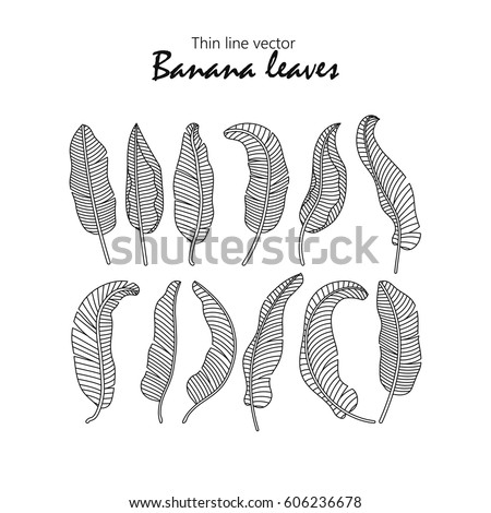 Leaf Line Drawing Stock Images, Royalty-Free Images & Vectors ...