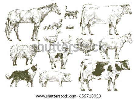 Animal Drawing Stock Images, Royalty-Free Images & Vectors | Shutterstock