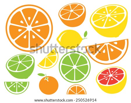 Collection of citrus slices - orange, lemon, lime and grapefruit, icons set, colorful isolated on white background, vector illustration.