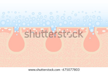 skin pores stock images royalty free images vectors skin pores stock images royalty free images vectors skin pores stock images royalty free images vectors skin pores stock images royalty free images vectors