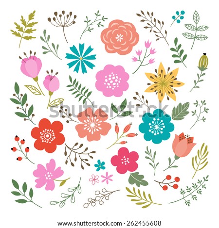 Set of flowers and floral elements isolated on white background.