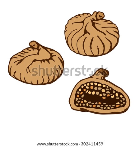 Dry Figs hand Drawn Sketch Vector Illustration Stock Vector 302411459