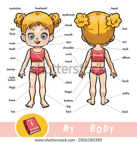 Cartoon Visual Dictionary Children About Human Stock Vector 1006580389