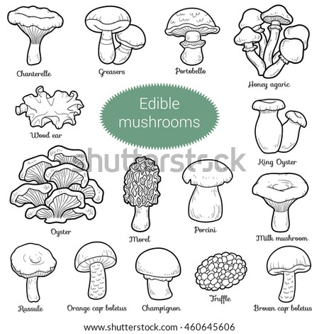 Black White Set Edible Mushrooms Coloring Stock Vector 460645606