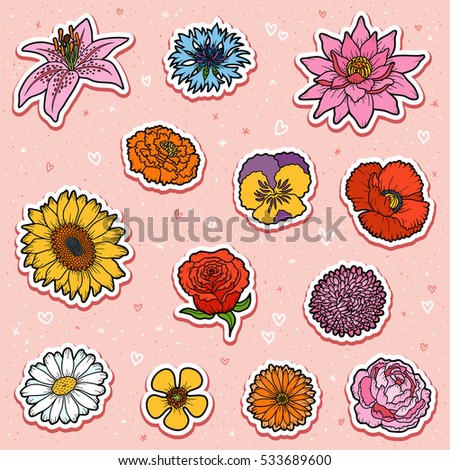 Ksenya Savva's Portfolio on Shutterstock