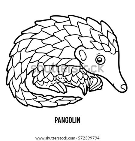 Download Pangolin Stock Images, Royalty-Free Images & Vectors | Shutterstock