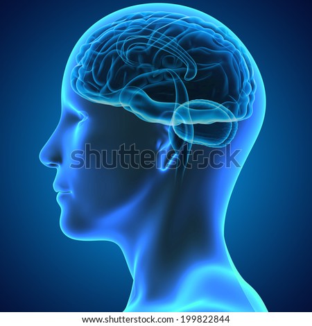 Stroke Brain Stock Photos, Images, & Pictures | Shutterstock