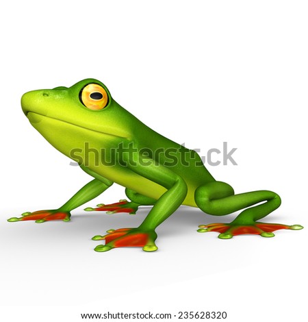 Illustration Rainforest Frog Stock Vector 98016527 - Shutterstock