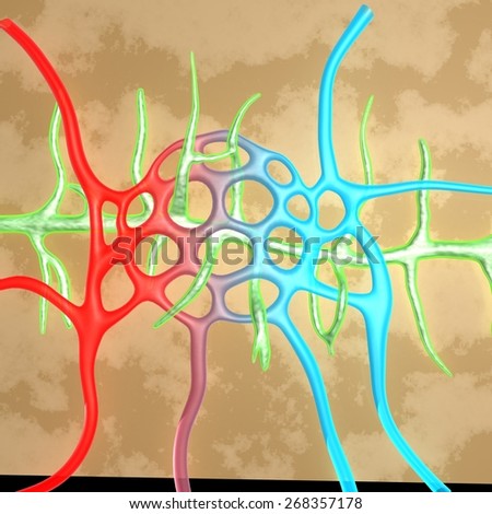 Lymphatic Vessels Stock Images, Royalty-Free Images & Vectors