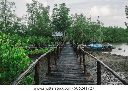 Bridge to the wooden boat at mangrove forest