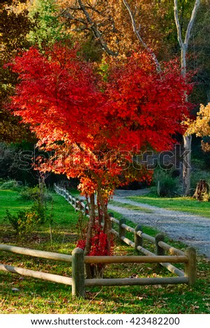 Red Japanese Garden Bridge beautiful japanese garden red bridge stock photo 153304361 Red Japanese Garden Bridge beautiful japanese garden red bridge stock photo 153304361