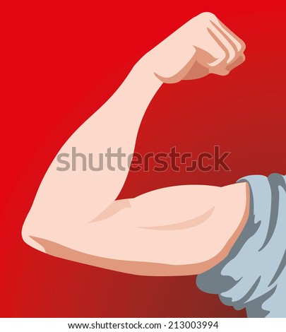 Arm Muscle Anatomy Stock Images, Royalty-Free Images & Vectors
