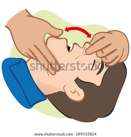 Airway Stock Vectors, Images & Vector Art | Shutterstock