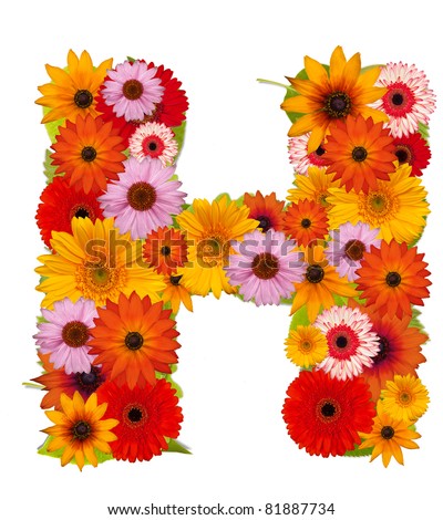 Letter E Flower Alphabet Isolated On Stock Photo 88446397 - Shutterstock