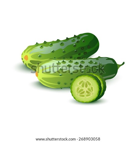 Vector cucumbers with slices isolated on white.