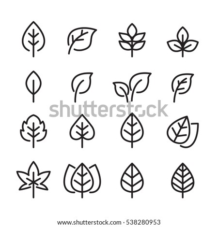 Leaf Stock Images, Royalty-Free Images & Vectors | Shutterstock