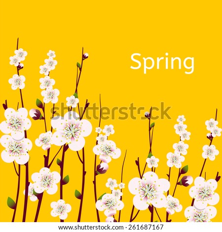 Vector spring apricot blossoming branch on bright yellow background