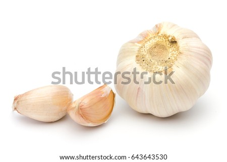 the feasibility of garlic allium sativum the feasibility of garlic allium sativum
